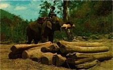 CPM THAILAND The Elephant push timbers with trunk, Chiengmai (345065)