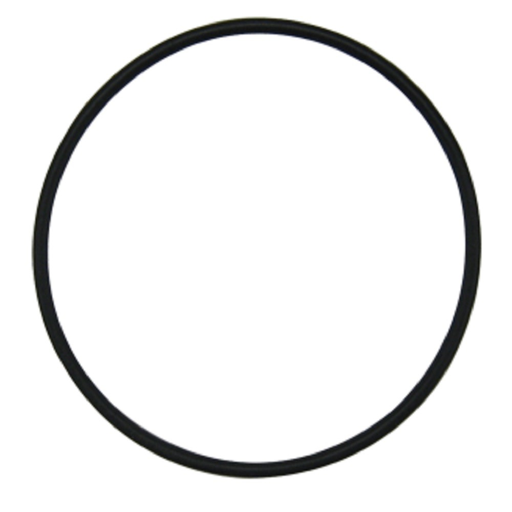 O-Ring Fits Massey Ferguson Replaces 1751687M1