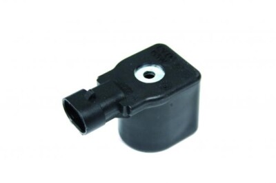 Magnetspule für LOVATO Verdampfer RGJ 15,5 W  12V LPG GPL Autogas