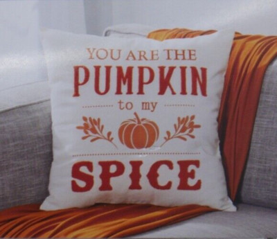 You Are the Pumpkin To My Spice Fall Hobby Lobby Pillow Cover 18x18 NEW NIP