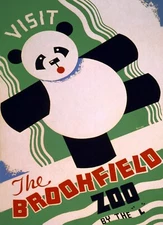 The Brookfield Zoo Giant Panda Bear Animal Vintage Poster Repro FREE S/H