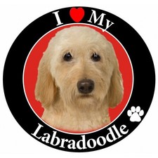 I Love My Labradoodle Magnet