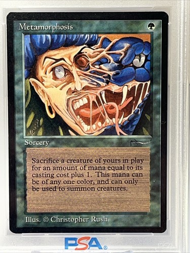1993 Magic The Gathering Metamorphosis Arabian Nights PSA 8 - Picture 2 of 4