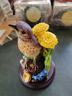 Unsere Schöne Vogelwelt Collection 10st