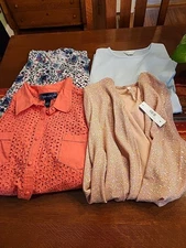 Women's Tops Lot of 4 Size 3x Susan Graver, CJ Banks, Women Within, Etc. EUC