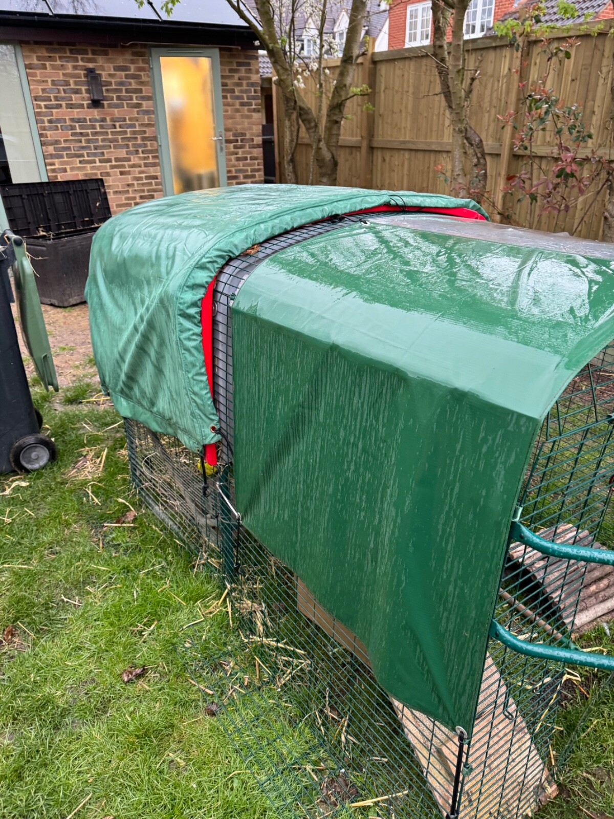 Omlet eglu cube MK1 with 1m Run eBay