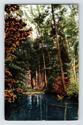 Postcard Washington Chelan County Cascade Mountain 1909 Posted Divided Back