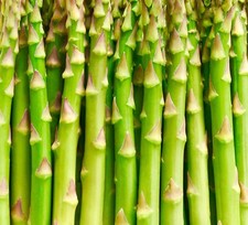 Asparagus Mary Washington - 50x seeds - Vegetable