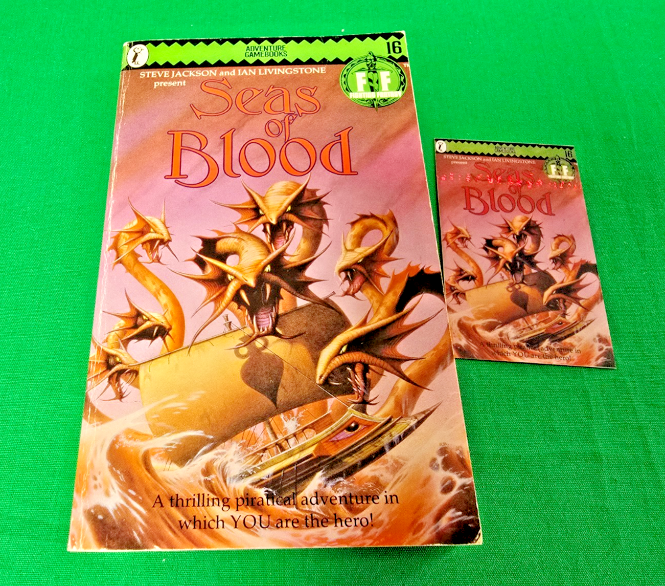 Seas of Blood ***VGC 1st/1st *£1.95* EDITION!!*** Fighting Fantasy Puffin #8