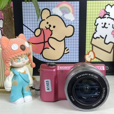 Sony Alpha A5000 20.1 MP Mirrorless Camera with PZ 16-50mm Lens with Accessories