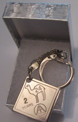 Alcoholics Anonymous AA Key Chain Camel 2 year Medallion Chip Key Ring ...
