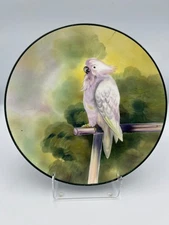 Antique Hand Painted Nippon Plate 10” Parrot Cockatoo Morimura Green Mark
