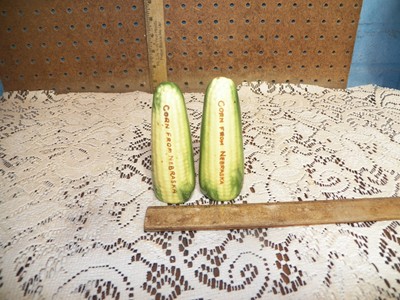 Vintage Ceramic Corn Cob Souvenir Salt & Pepper Shakers ''Corn From Nebraska''