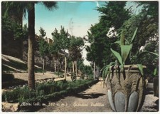 ALATRI - FROSINONE - GIARDINI PUBBLICI - VIAGG. 1958 -8069-