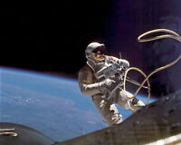 11x14 Photo: Astronaut Ed White In Spacewalk, Gemini-titan 4 Mission 11x14 Photo: Astronaut Ed White In Spacewalk, Gemini-titan 4 Mission