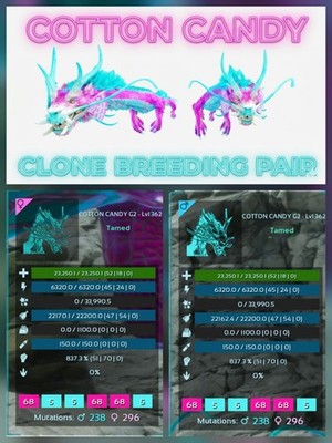 ARK ASA Aureliax Clone Breeding Pair - New Top Stats - Official PVE PC/XBX/PS5