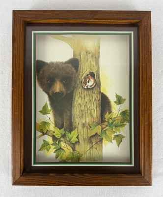 Vintage T. Massa Bear & Chipmunk Woodland Print Framed B.P. Co. 15.5'' x1 2.5''