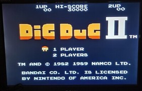 Dig Dug 2 (Nintendo Entertainment System, 1989) NES Tested FREE SHIPPING 🇨🇦 