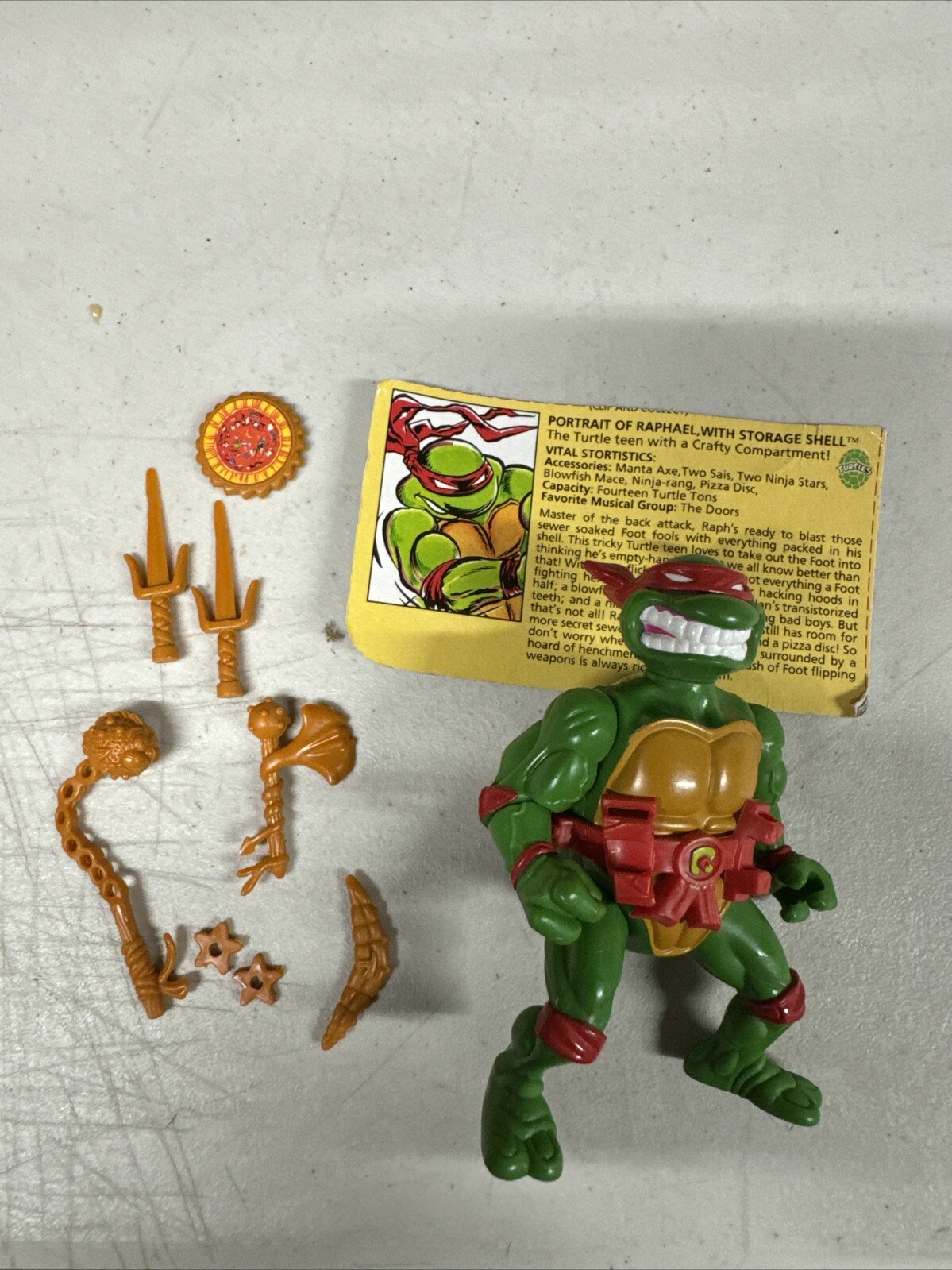 Tmnt 1990 Raphael Shell Vintage TMNT Teenage Mutant Ninja Turtles Storage Shell Raphael 1990 | eBay