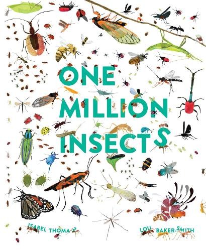 One Million Insects by Isabel Thomas (Paperback Book) - Image 7