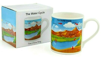 Becher The Water Cycle Wasserkreislauf  The Leonardo Collection
