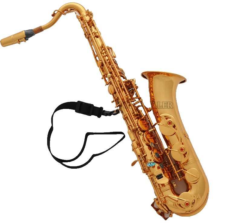 C Melody Saxophone Case | eBay