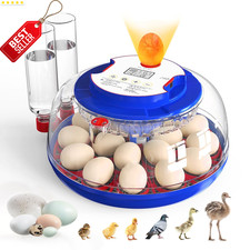 Egg Incubator 18 Eggs Automatic Turner Temperature Humidity Control US