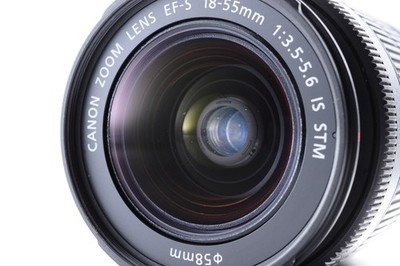 Canon EOS 70D / Zoom Lens EF-S 18-55mm f/3.5-5.6 IS STM Exc+5