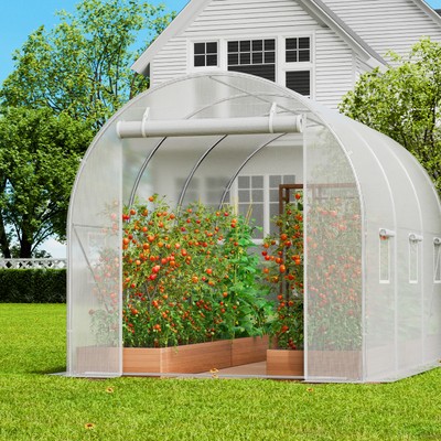 Walk-in Tunnel Greenhouse 9.58x6.43x6.23ft Galvanized Frame PE Cover White
