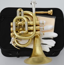 WEIBSTER WTR-360 Matt Gold Pocket Trumpet C Key Monel Valves W/2 Mouthpiece