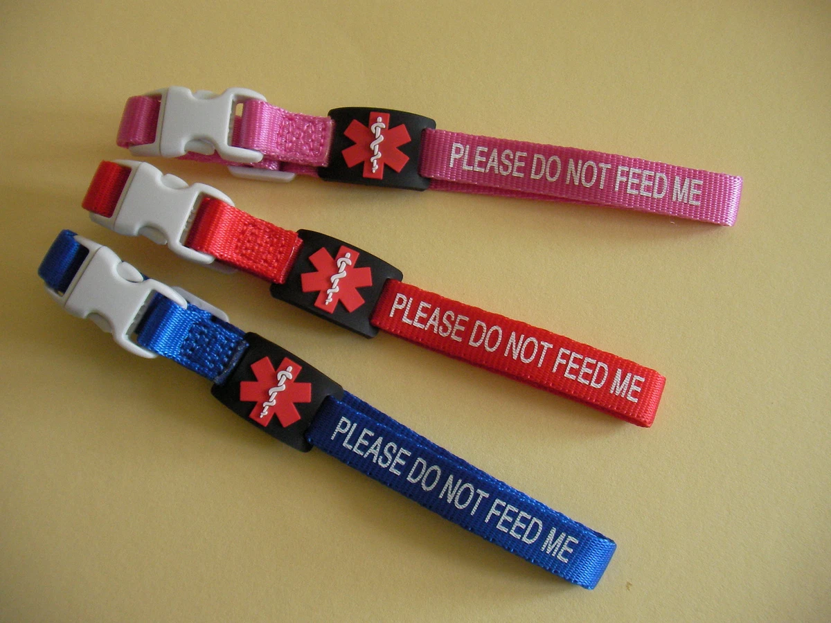 Diabetic cat collar cheap