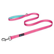 5FT Pink  Mint Green Dog Leash Reflective Padded Handle Easy Snap Clasp