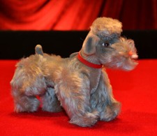 Rare 1950's STEIFF "SNOBBY" 6" POODLE, EAR Button, CHEST TAG, JOINTED, 5314.05