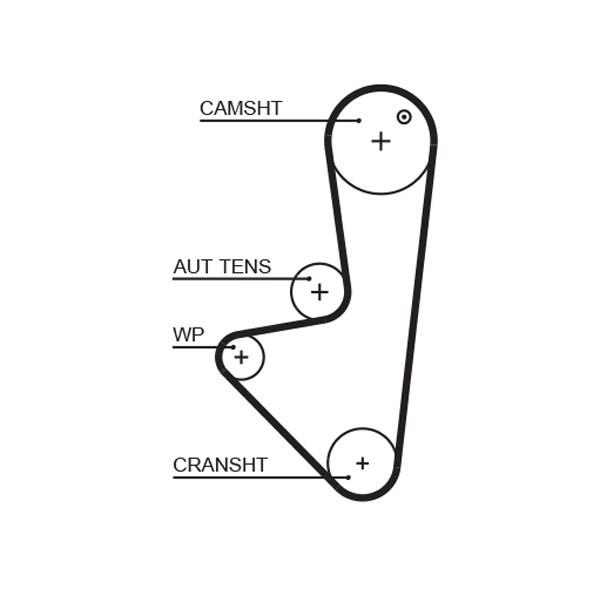 GATES-OE 5574XS Timing Belt for CITROËN,PEUGEOT