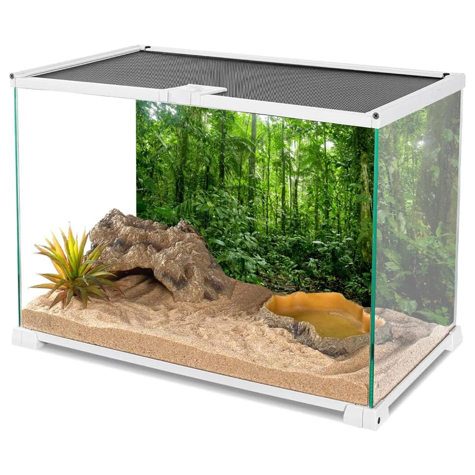 Fondo de terrario 48X18 pulgadas fondo de acuario tropical verde enorme árbol R Foto 3 de 4