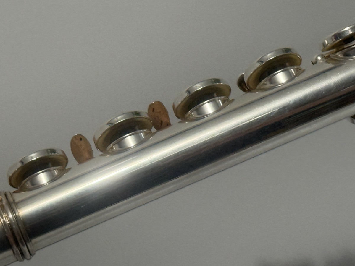 Gemeinhardt USA 2SP Flute JUST SERVICED Plays Perfectly | eBay