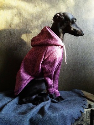 greyhound snowsuit