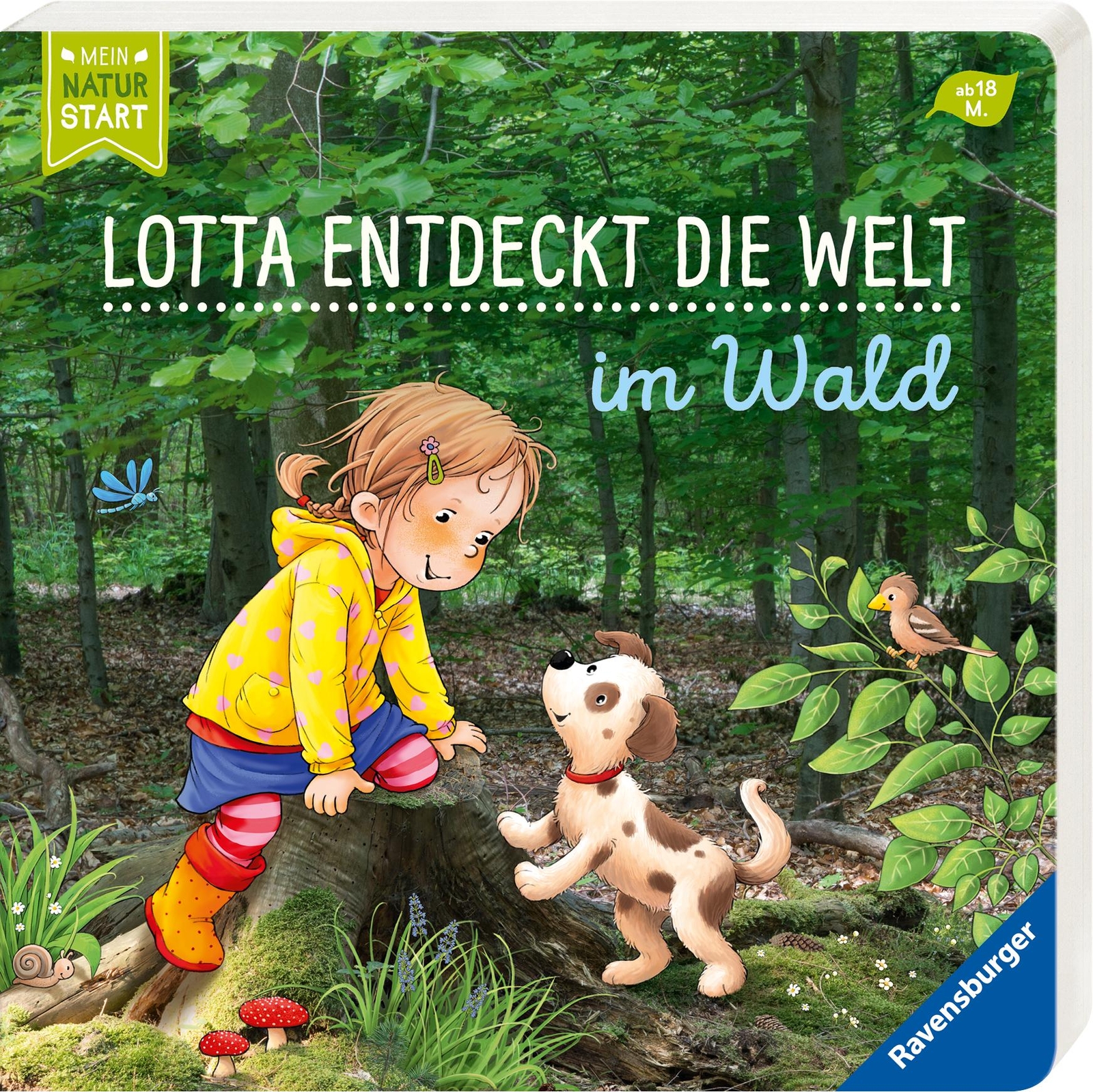 Thumbnail - Lotta Entdeckt Die Welt: Wald, Sandra Grimm