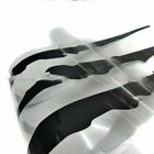 Bild 3 von 33