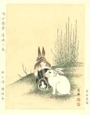 Okyo Maruyama - Horsetail and Rabbit - Woodblock Print Kawase Hasui Japan