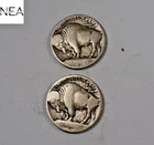 1913 TY1+1913-D TY1 Buffalo Nickel Set/Lot ~ 2 Coins ~ ZBL6