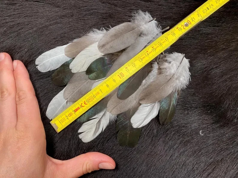 18er Federmix, 7-10cm, 3 Sorten, artgerechte Haltung, Bastelfeder-Mix, Naturfede - Bild 3 von 4