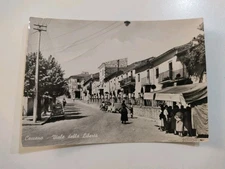 Cartolina Ceccano Viale Della Libertà 1958