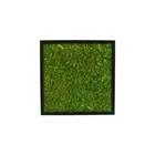 Bild 47 von 100