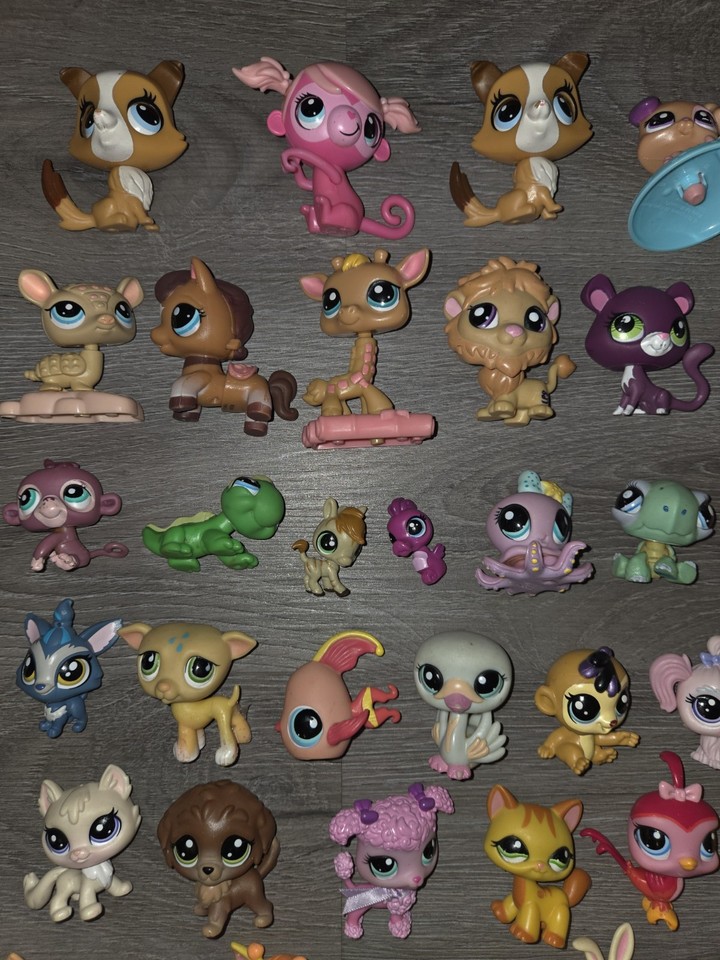 Lot Littlest Pet Shop - Chien Saint Bernard #1940 + 1118 1087 2 29 + Accessoires