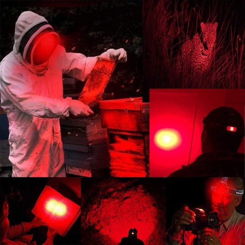 Red Light Headlamp USB Rechargeable Headlamp Zoomable Waterproof Red LED headlig - Picture 4 of 4