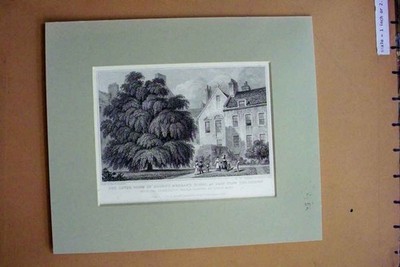 Alter antiker Druck um 1880 Deichzimmer Regent Murray Haus Garten Baum Maria 19.