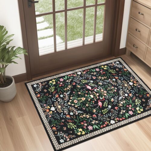 Door Mat Indoor Entrance 2x3 Area Rug Entryway Rug Low Pile Non Slip Entry Ru...