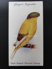 nr. 2 dunkel verziert Norwich Kanarische - Voliere und Käfig Vögel von John