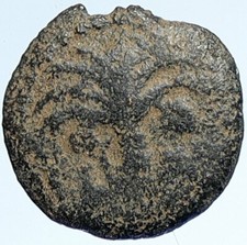 MARCUS AMBIBULUS Augustus Jerusalem Ancient 9AD OLD BIBLICAL Roman Coin i107400